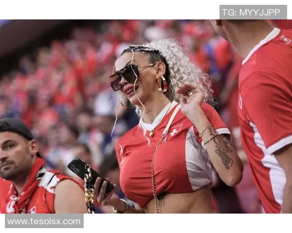 欧洲杯赛事球迷文化及传播效果